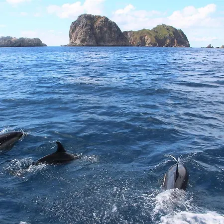 بيت للعطل Casa Da Ilha Do باليال
